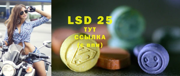 PSILOCYBIN Горнозаводск