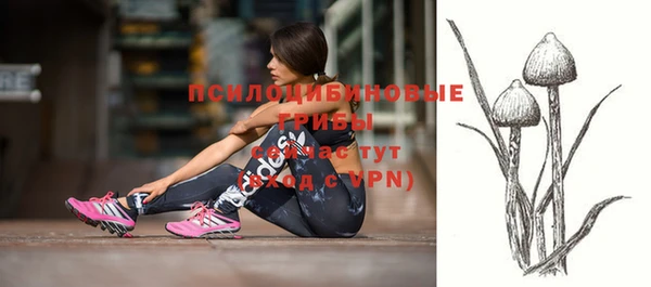 mdpv Горняк