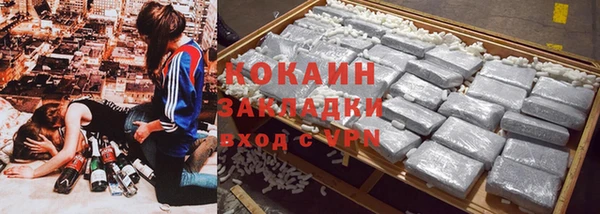 PSILOCYBIN Горнозаводск