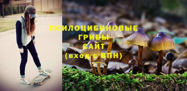 mdpv Горняк