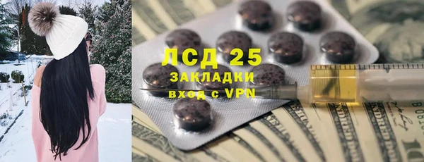 PSILOCYBIN Горнозаводск